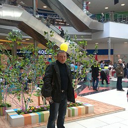 ���� ���������, �����������, 50 ��� - ��������� 28 ���� 2014