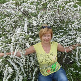 �����, ����� �������, 47 ���