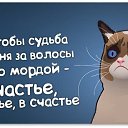 ���� �����, ������, 53 ���� - ��������� 19 ����� 2014 � ������ ������ ��������