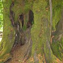 ���� �, ������� - ��������� 4 ������� 2014 � ������ �!!!�