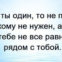 ���� ������, �������������, 37 ��� - ��������� 5 ��� 2014 � ������ ������ ��������