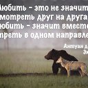 ���� ���, ���������, 37 ��� - ��������� 13 ���� 2014 � ������ ������ ��������
