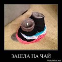���� Nikolai, ������, 43 ���� - ��������� 6 ��� 2014 � ������ ������ ��������