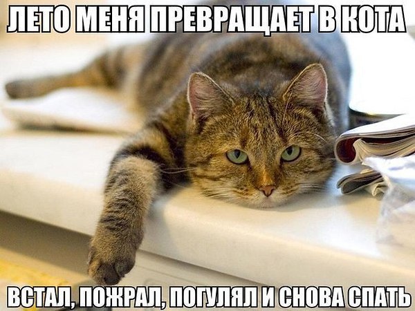   - 14  2014  19:40