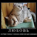 ���� ������, �������� - ��������� 19 ���� 2014 � ������ ������ ��������