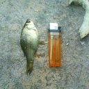 ���� ����, ���������, 42 ���� - ��������� 23 ���� 2014 � ������ ���� ����������