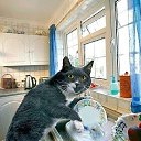 ���� �**, �������, 60 ��� - ��������� 27 ���� 2014 � ������ ���������