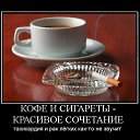 ���� ����, ������� - ��������� 3 ���� 2014 � ������ �������� �������