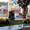 ������� 2013 ���� �� ������� ���� ����������