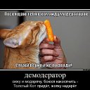 ���� **������**, ��������, 42 ���� - ��������� 9 ������� 2014 � ������ ���� ����������