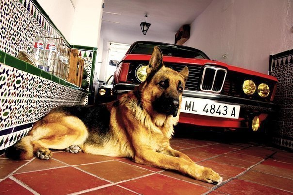    !#BMW