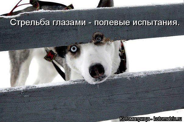 Alex Linadherent - 18  2014  07:15