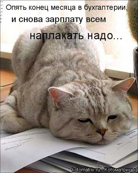    - 24  2014  08:10