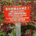  , , 49  -  17  2014   ....