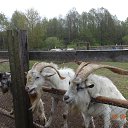 ����� �� ���� ����� �� ������� ���� ����������