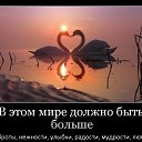  , - -  28  2014    