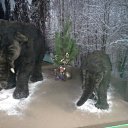 ���� �������, ������� ����, 43 ���� - ��������� 26 ����� 2014 � ������ ���� ����������