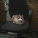  (yuliya), , 44  -  20  2014    