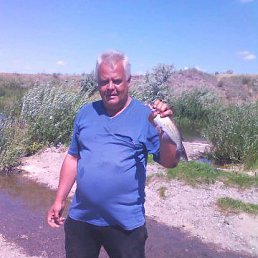 , 57, 