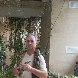 ������, ������, 55 ���