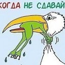 ���� Vitalik, ������-��-����, 49 ��� - ��������� 20 ������� 2014 � ������ ������