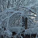 ���� Xacco, ������, 54 ���� - ��������� 11 ������� 2014 � ������ �����