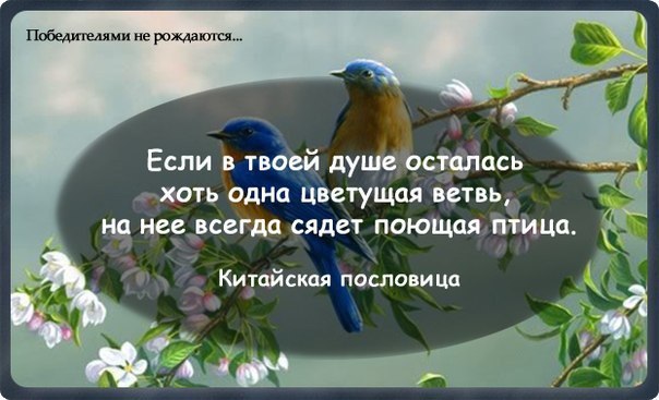 Храни покой, храни крупицы счастья. И верность, и надежду сохраняй. И проявляй заботу и участье. ...