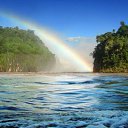 ���� ���������, ��������� - ��������� 5 ��� 2014 � ������ ������ ��������