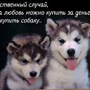  ,  -  23  2014    