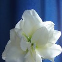 ���� ������, ���-�����, 48 ��� - ��������� 13 ������ 2014 � ������ ������ ��������