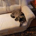 ���� ���������, ����� - ��������� 17 ��� 2014 � ������ ���� ����������