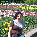 ���� �����, �������� - ��������� 18 ��� 2014