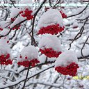 ���� ���������, ������, 66 ��� - ��������� 22 ������� 2014 � ������ ���� ����������