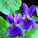 ���� �����, �����, 64 ���� - ��������� 24 ������ 2014 � ������ ������ � �����!�