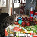 ���� ������, ������ ��������, 37 ��� - ��������� 18 ���� 2014 � ������ ������ ��������