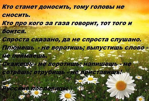  - 7  2014  02:47