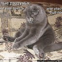 ���� ����������, ���� - ��������� 7 ������� 2014 � ������ ���� ����������