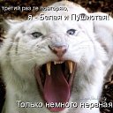 ���� ������, ���������, 66 ��� - ��������� 3 ��� 2014 � ������ ������ ��������