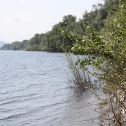 �������, 57 ���, ������