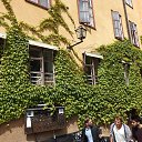 ���� ������, �����-��������� - ��������� 10 ���� 2014 � ������ ���� ����������