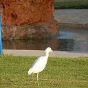 ���� �����, ������, 26 ��� - ��������� 17 ���� 2014 � ������ ������ :3�