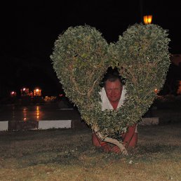 ���� ������, ����������, 51 ��� - ��������� 7 ��� 2014