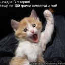 ���� Roman, ��������, 37 ��� - ��������� 31 ����� 2014 � ������ ������ ��������