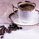 ���� �������, ���������� - ��������� 16 ������� 2014 � ������ ������ ��������