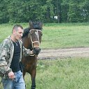 ���� �����, ���������, 41 ��� - ��������� 1 ���� 2014 � ������ ���� ����������