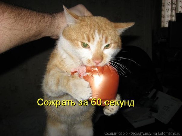    - 17  2014  03:10