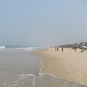  ,     (Goa) 2014