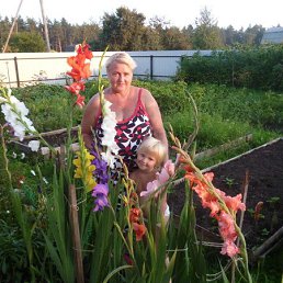 ������, ������, 71 ���