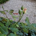 ���� �����, ������ �������� - ��������� 29 ���� 2014 � ������ �2014 ��