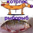  , - -  28  2014    